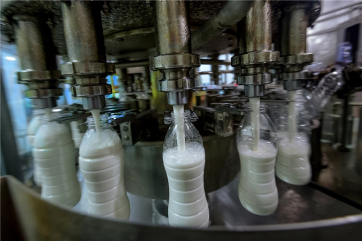 Россия почти на треть увеличила экспорт молочки в 2023 году